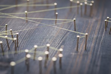 Web grupları ve bekarlar arasındaki bağlantıları gösteren tel,