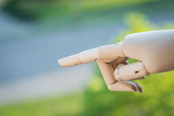 Wooden hand prosthesis pointing on something outside