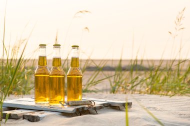 Rustik ahşap tahta üzerinde duran üç bira şişeleri