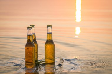 Ahşap tahta üzerinde yüzen bira şişeleri