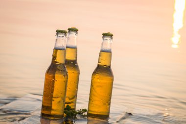 Ahşap tahta üzerinde yüzen bira şişeleri