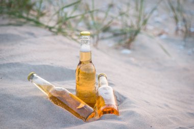 Üç soğuk bira şişeleri kum