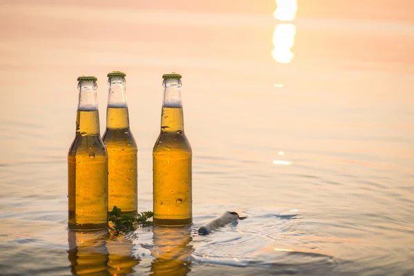 Bouteilles de bière flottant sur la planche en bois — Photo