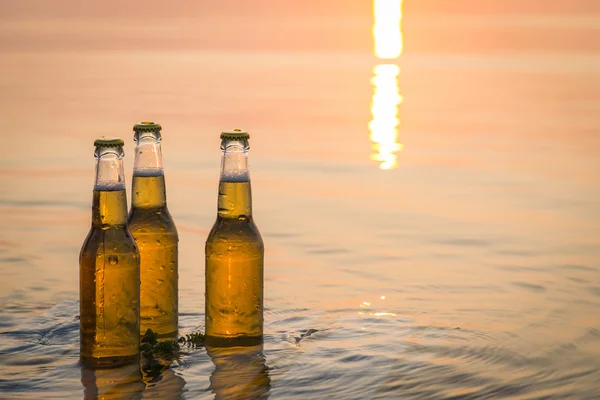 Bouteilles de bière flottant sur la planche en bois — Photo