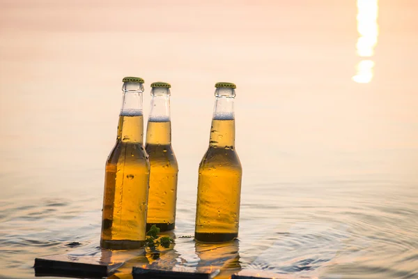 Bouteilles de bière flottant sur la planche en bois — Photo