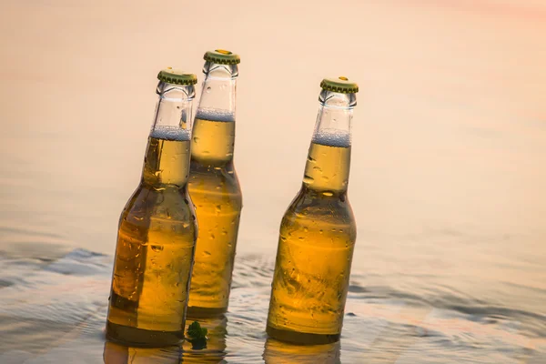 Bouteilles de bière flottant sur la planche en bois — Photo