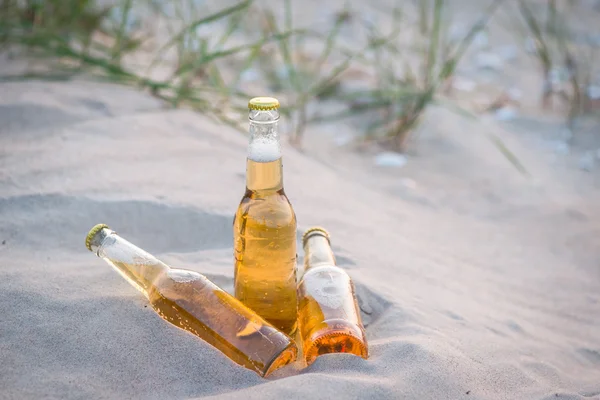 Trois bouteilles de bière froide dans le sable — Photo