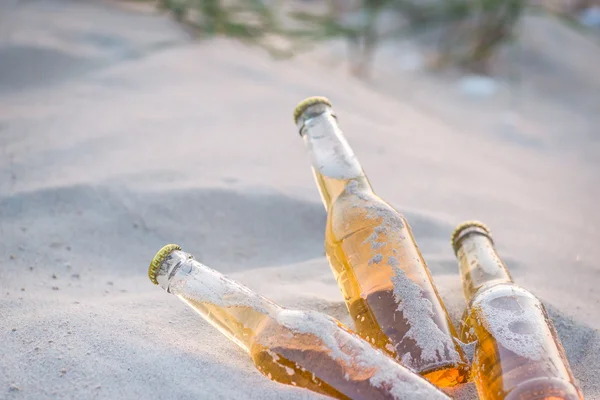 Trois bouteilles de bière froide dans le sable — Photo