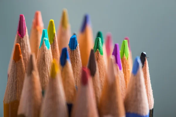 Bunch of color pencils in a stand — Stock Photo, Image