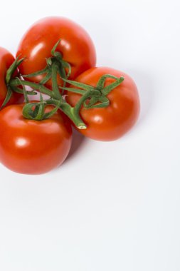 Bir demet taze ve sulu domates izole