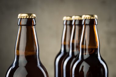 Taze demlenmiş bira şişeleri üst üste gri beton duvarı