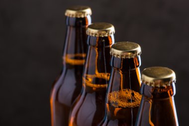 Taze demlenmiş bira şişeleri üst üste gri beton duvarı