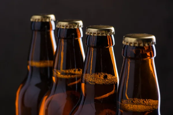 Freshly brewed beer bottles in a row over the grey concrete wall — Stock Photo, Image