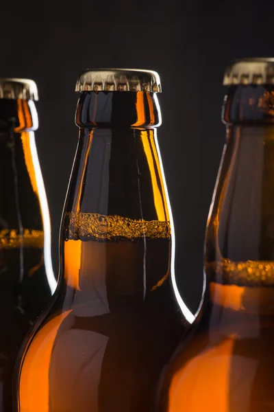 Bouteilles de bière fraîchement brassées en rangée sur le mur de béton gris — Photo