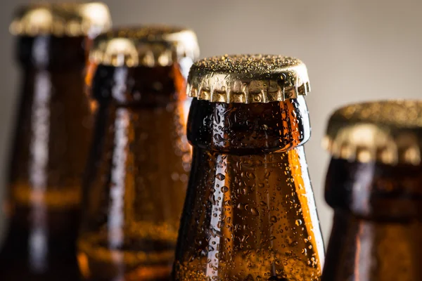 Taze demlenmiş bira şişeleri üst üste gri beton duvarı