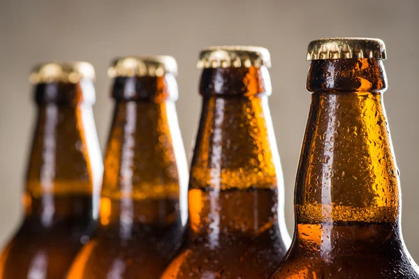 Freshly brewed beer bottles in a row over the grey concrete wall — Stock Photo, Image