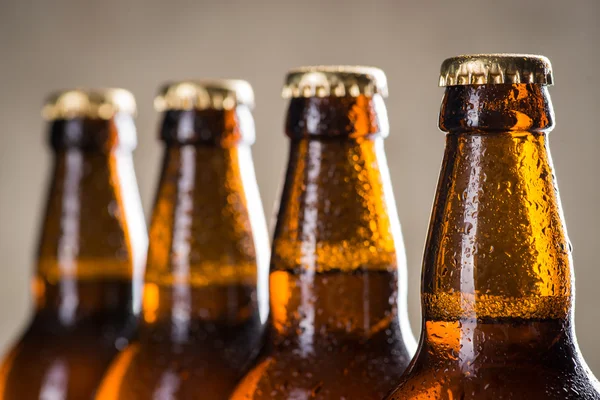 Bouteilles de bière fraîchement brassées en rangée sur le mur de béton gris — Photo