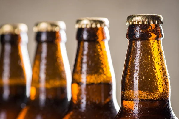 Bouteilles de bière fraîchement brassées en rangée sur le mur de béton gris — Photo