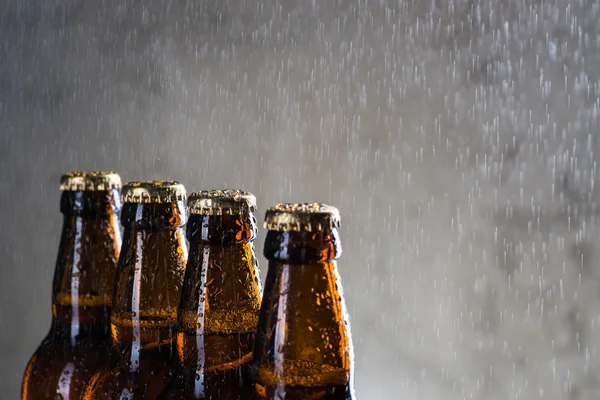 Ice cold beer bottles with drops of dew — Stock Photo, Image