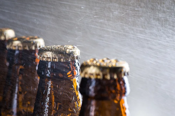 Ice cold beer bottles with drops of dew — Stock Photo, Image