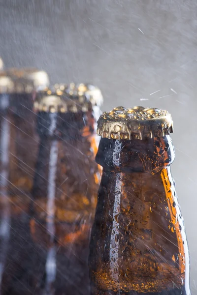 Ice cold beer bottles with drops of dew — Stock Photo, Image