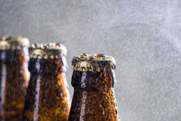 Ice cold beer bottles with drops of dew