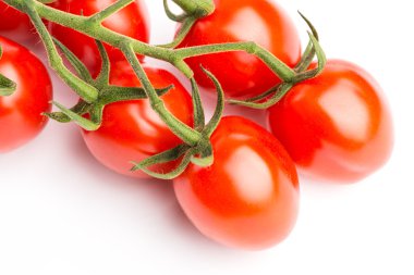 Bir asma lezzetli ve taze kiraz domates