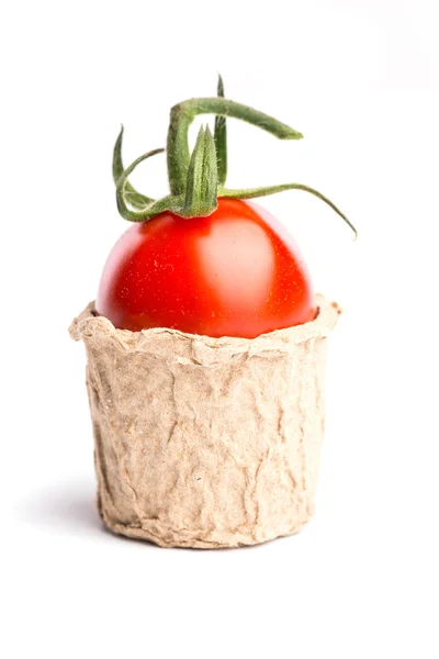 Tomate cherry fresco en una taza de cartón, aislado — Foto de Stock