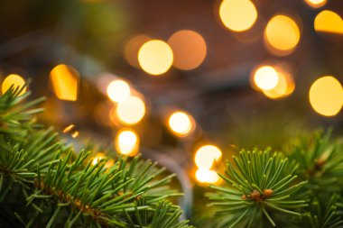 Köknar ağacı dalı ile ahşap yüzey üzerinde Noel ışıkları