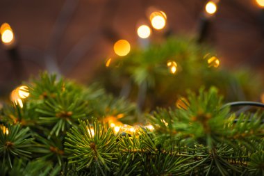 Köknar ağacı dalı ile ahşap yüzey üzerinde Noel ışıkları