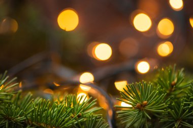 Köknar ağacı dalı ile ahşap yüzey üzerinde Noel ışıkları
