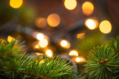 Köknar ağacı dalı ile ahşap yüzey üzerinde Noel ışıkları