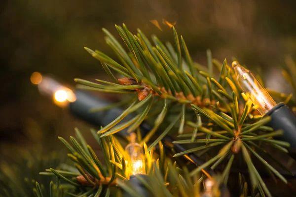 Fir-tree branch with christmas lights over the wooden surface — Stock Photo, Image