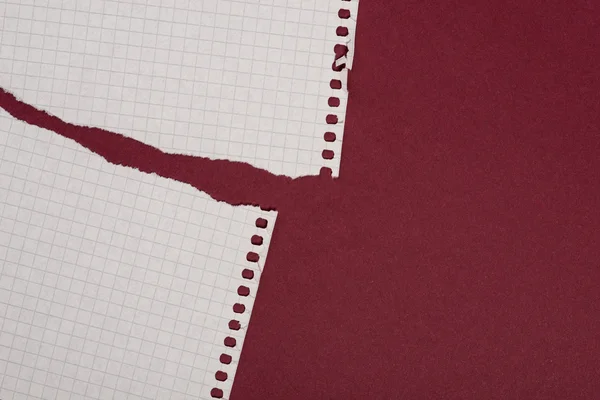 Trozos de papel desgarrado sobre el fondo rojo oscuro — Foto de Stock