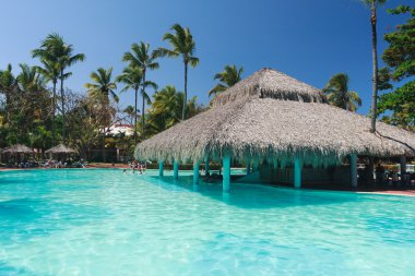 Yüzme Havuzu bir thatched çatı ve palmiye ağaçları ile