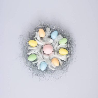 Beyaz tüylü Paskalya yaratıcı bahar dekorasyonu ve menekşe arka planında gri yuvada pastel yumurtalar. Minimum düz konsept.