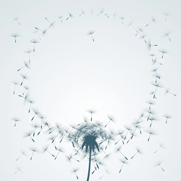 Paracaídas voladores de diente de león formando amor marco floral fondo — Vector de stock