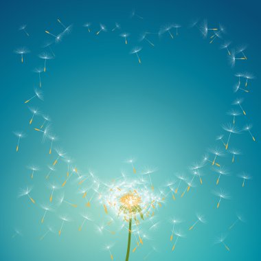 Aşk çiçek çerçeve arka plan oluşturan karahindiba uçan paraşütler