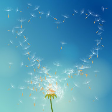 Vector dandelion with seeds flying away with the wind forming love