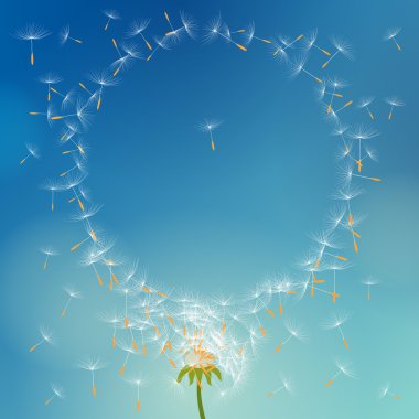 Vector dandelion with seeds flying away with the wind forming round frame