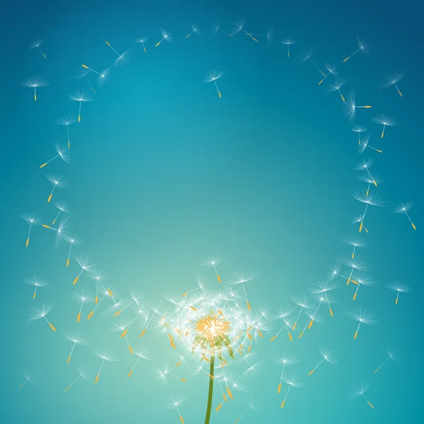 Flygande fallskärmar från maskros formning älskar blommig ram bakgrund — Stock vektor