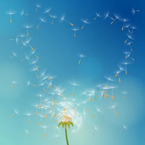 Vector dandelion with seeds flying away with the wind forming love