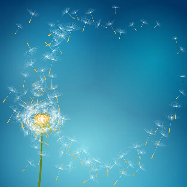 Dandelion flower with seeds flying away with the wind - vector love summer spring background — 스톡 벡터