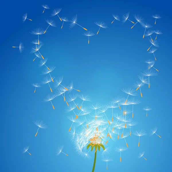 Fleur de pissenlit sur un vent perd l'intégrité formant l'amour - vecteur — Image vectorielle