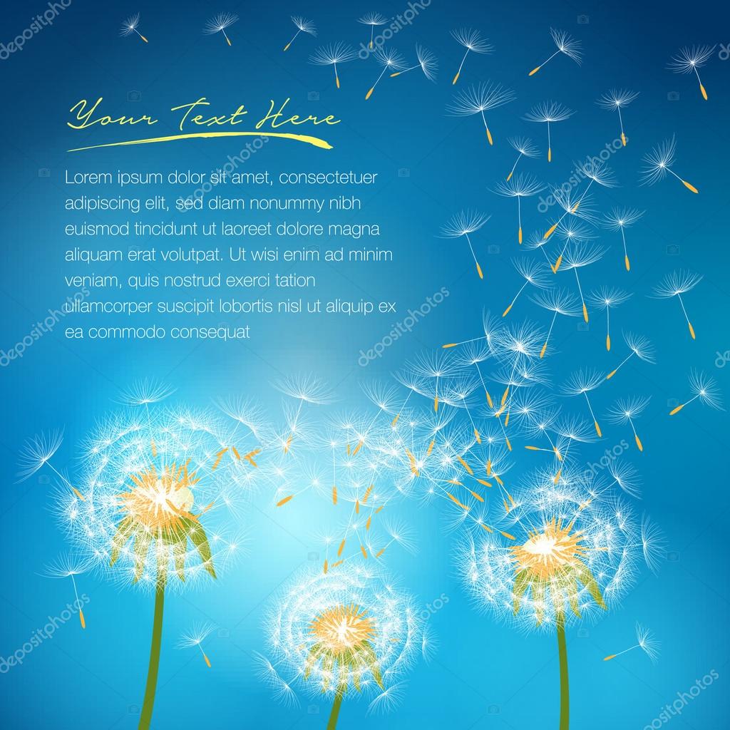 Dandelion flower vector on a wind loses the integrity forming love