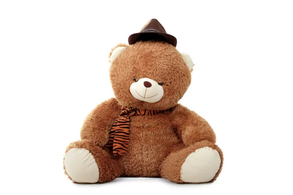 Teddy bear in hat — Stock Photo, Image