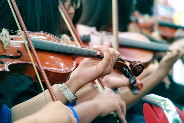 Violinists recital — Stock Photo, Image