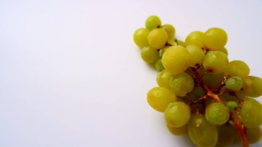 Yeşil üzüm demeti. Olgun üzümler