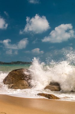 Deniz dalgaları kayalara çarpıyor.