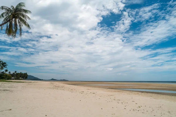 Tayland 'da tropik plaj